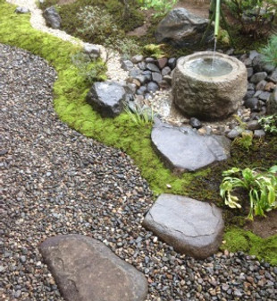 手水鉢がある露地風の庭