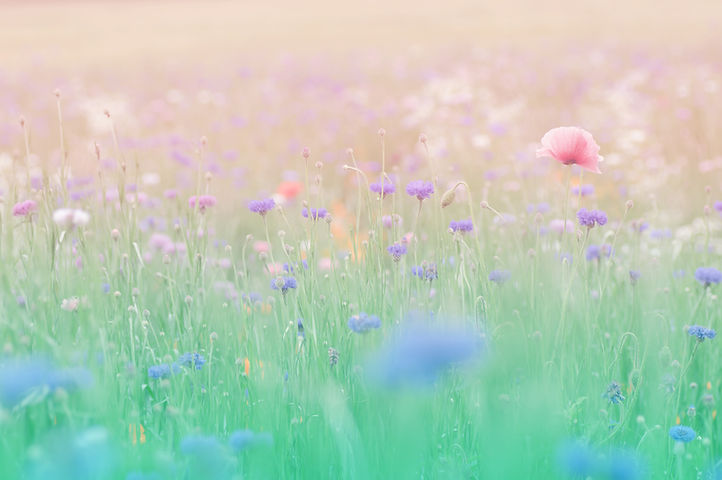 五稜郭メンタルクリニック