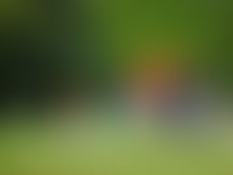 保育園・外遊び