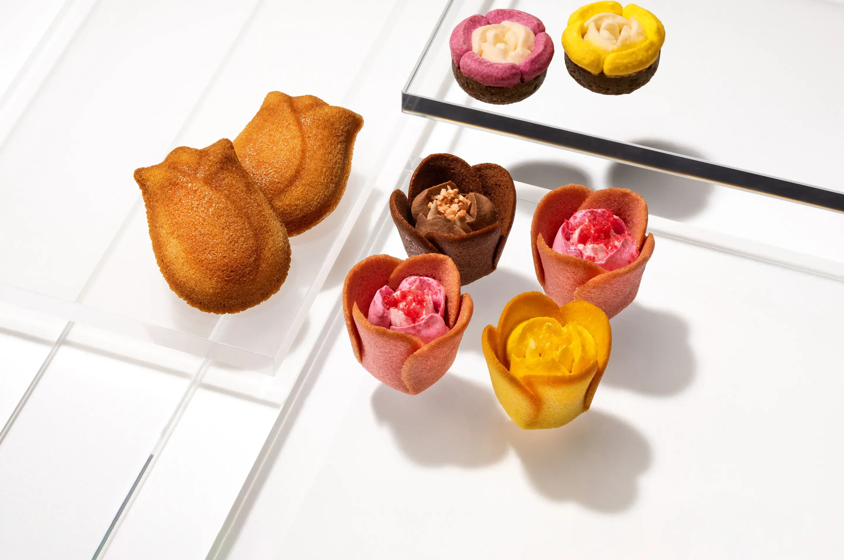 TOKYO Tulip Rose冬季限定禮盒