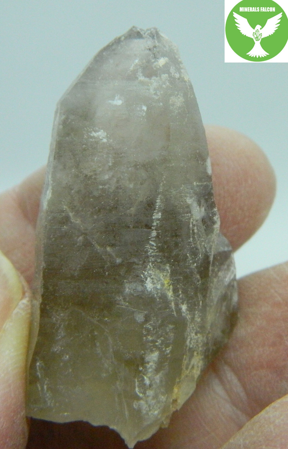 Miniatura: Křemen (křišťál) - Krásno lom Hubr (Eng: Quartz)