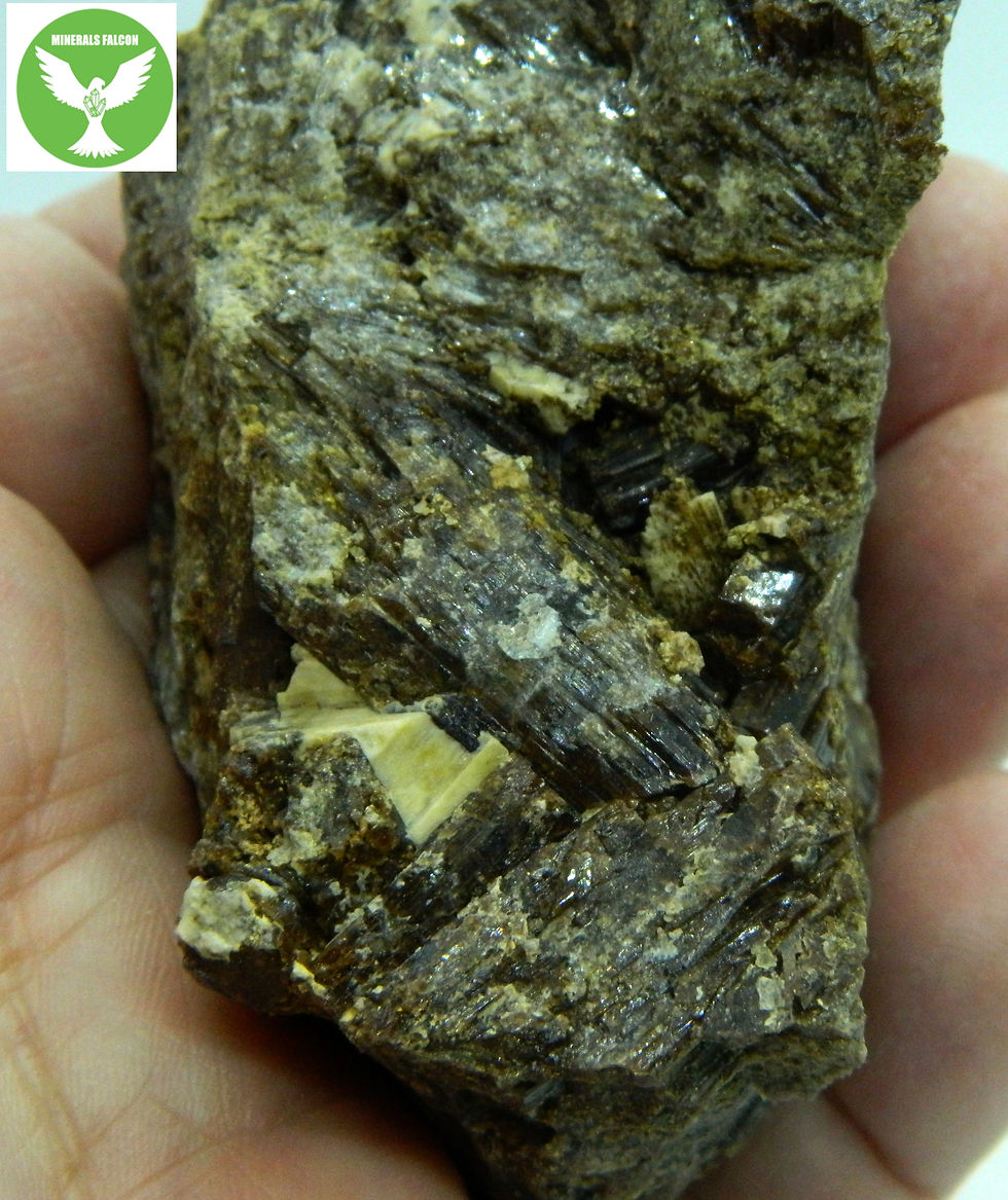 Miniatura: Vesuvian - Hazlov u Chebu ( vesuvianite)