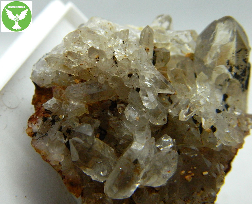 Miniatura: Křemen, křišťál - Krásno Živcový lom (Eng: Quartz)