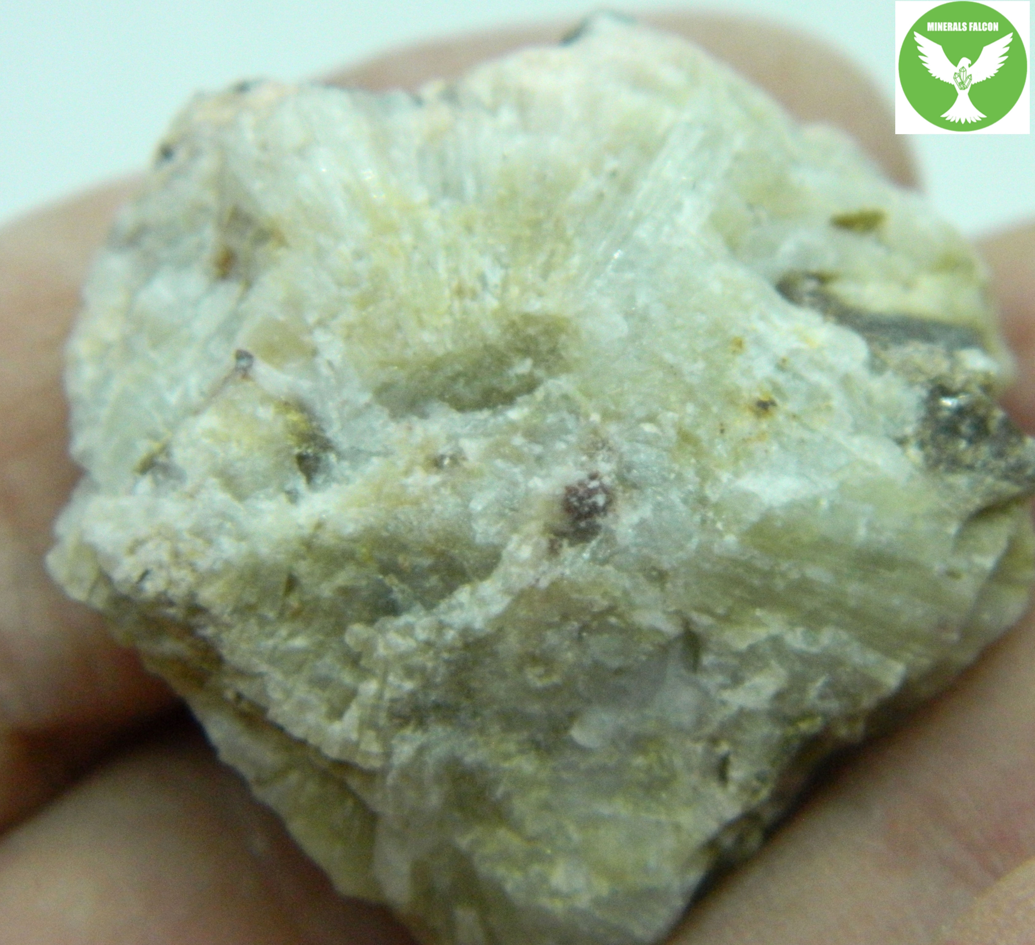 Beryl - Živcový lom, Horní Slavkov (Eng: Beryl)