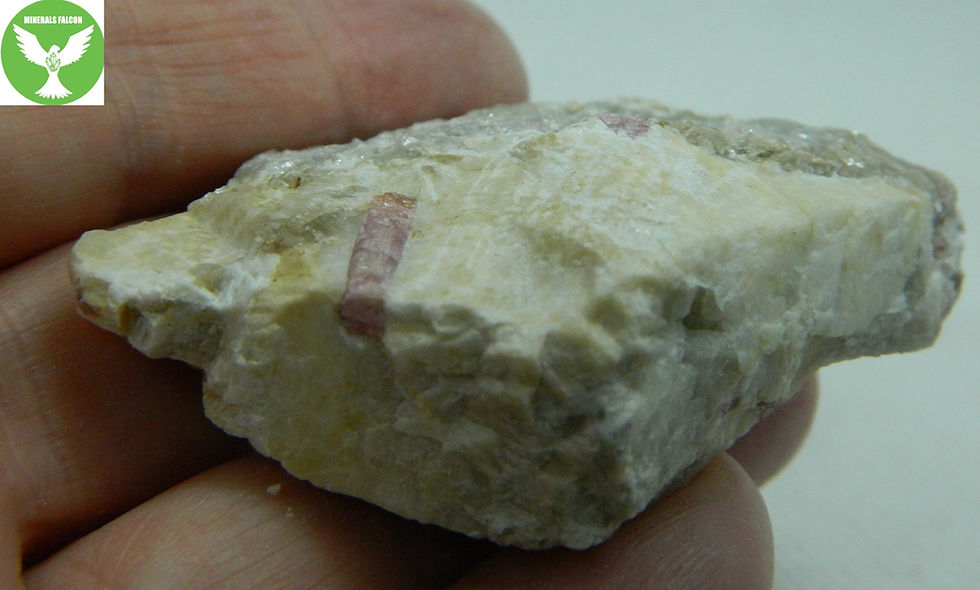 Miniatura: Rubelit Nová Ves  ( Rubellite )