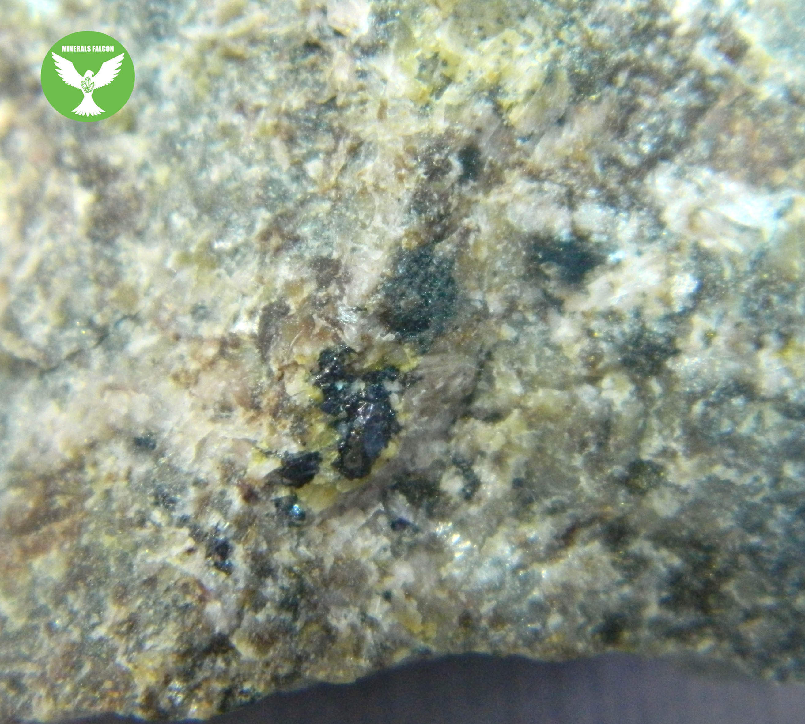 Bornit - Jáchymov (Eng: Bornite)