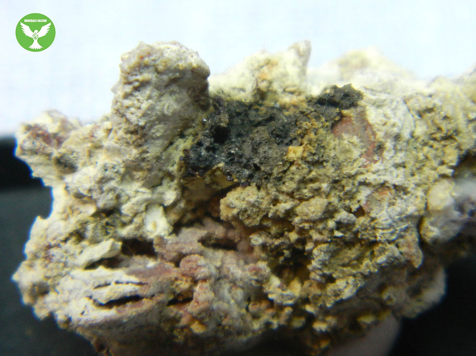Miniatura: Proustit, Polybazit - Jáchymov (Eng: Proustite, Polybasite)