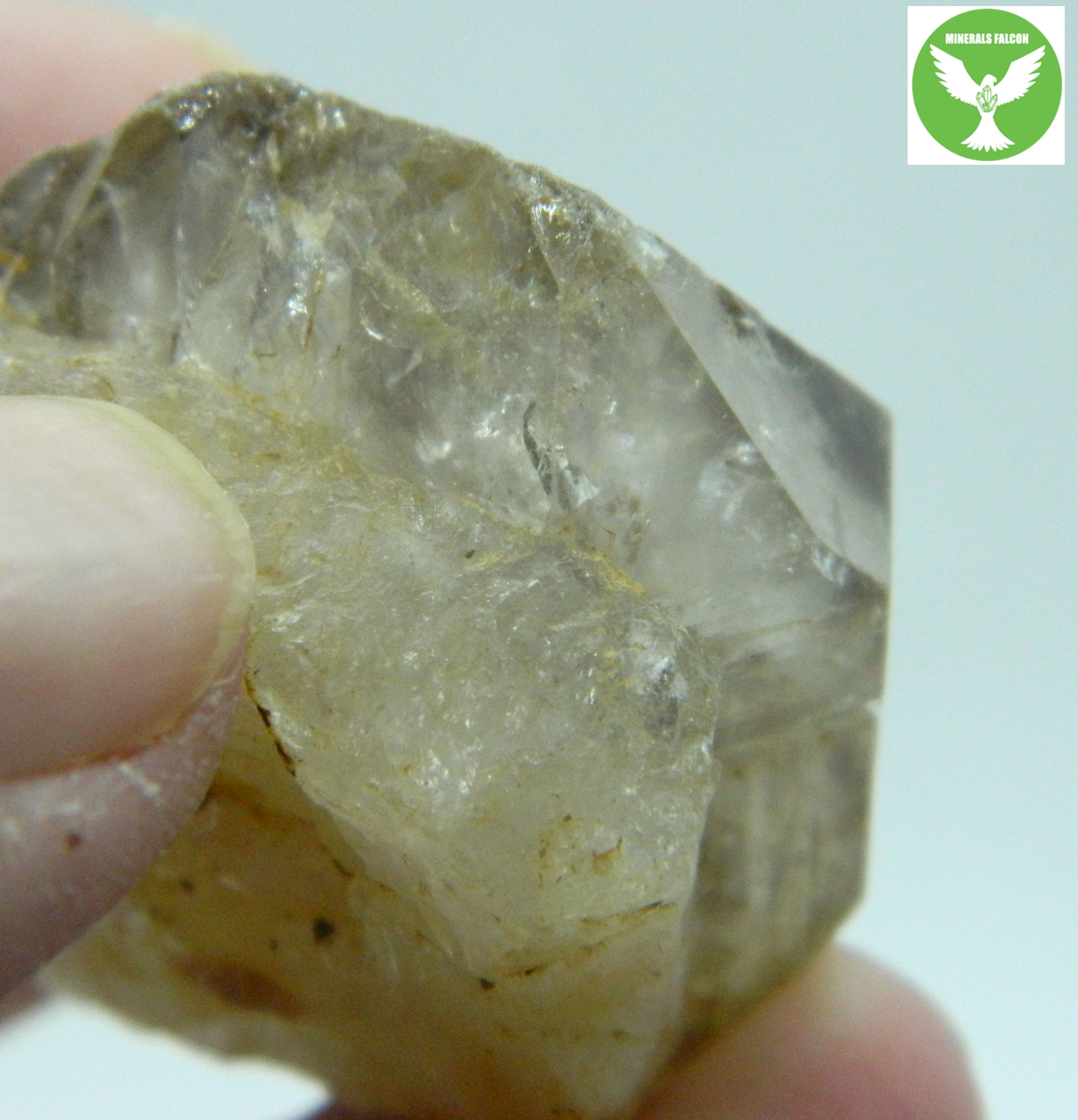 Záhněda  Dolní Bory  ( Smoky Quartz )