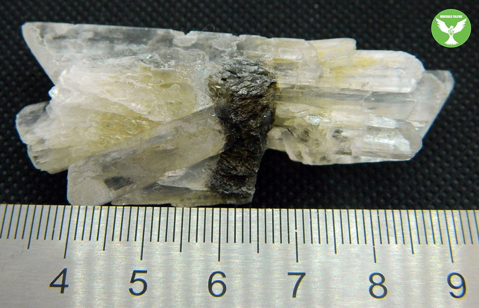 Miniatura: Sádrovec - Strkovice (Eng: Gypsum)