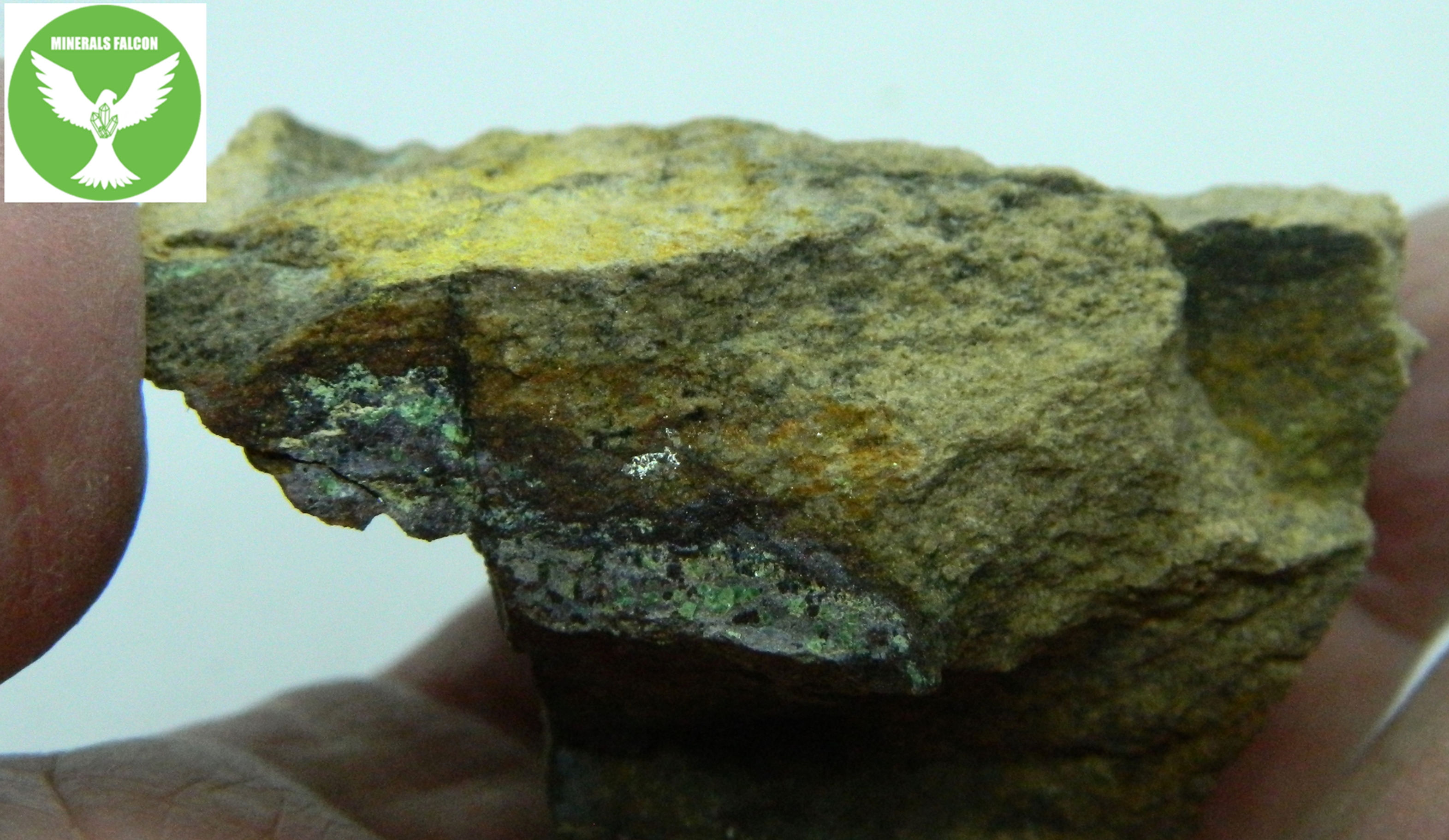 Torbernit, kasolit -  Medvědín  ( torbernite, kasolite)