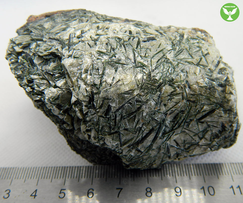 Miniatura: Aktinolit - Nová Ves (Eng: Actinolite)