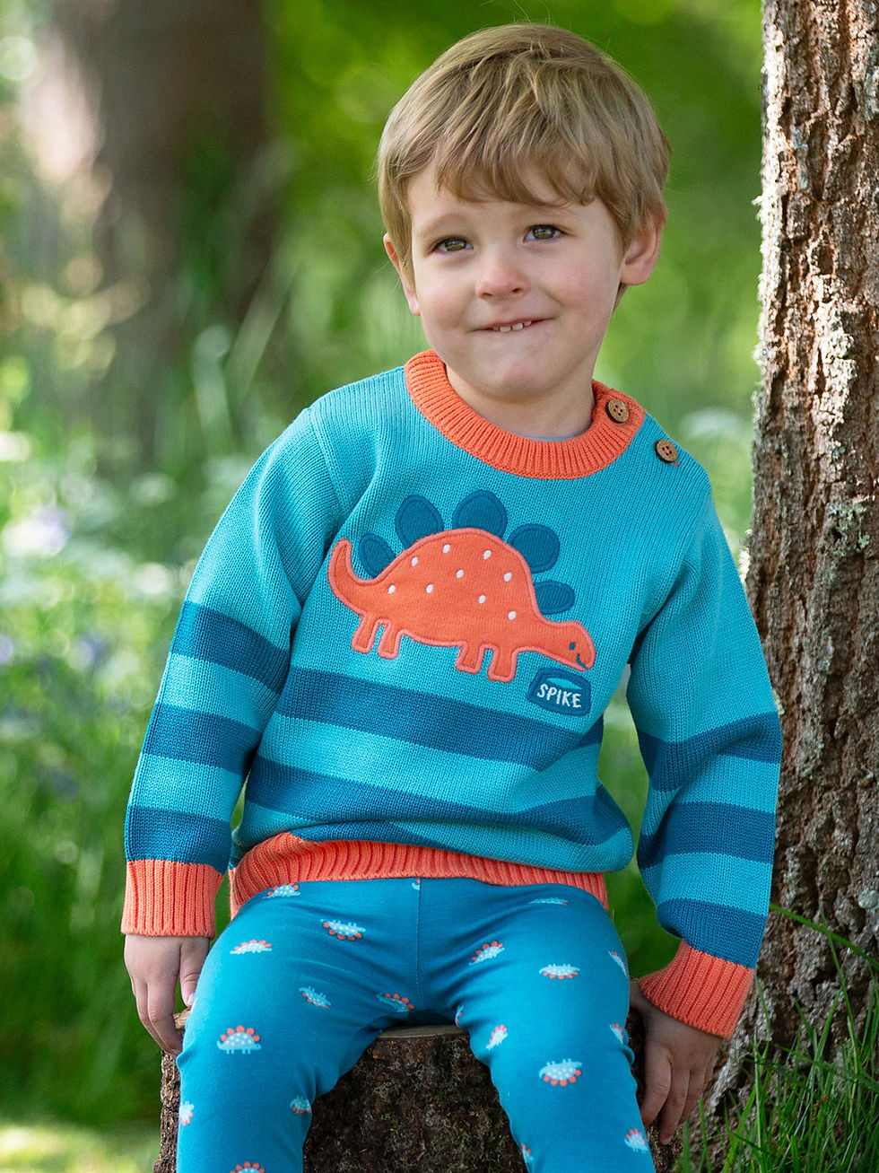 My Pet Steggie Jumper