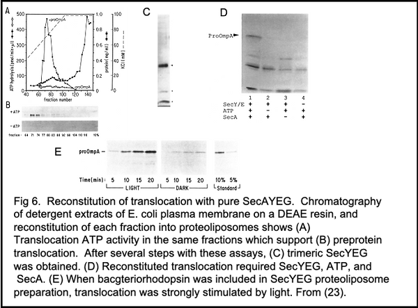 Fig6.png