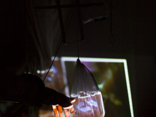 CRUSH: intercambio, experimentación y celestinaje en La Praga