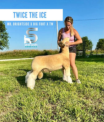twice the ice.jpg