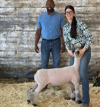 Champion Hampshire Wether Dickinson County