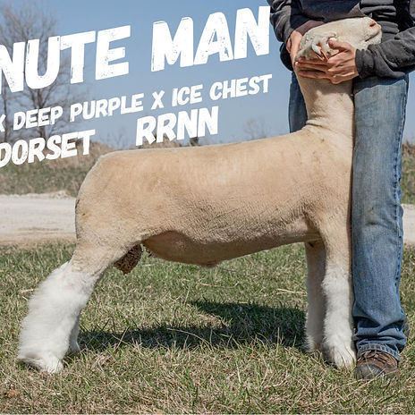 Minute Man_edited.jpg