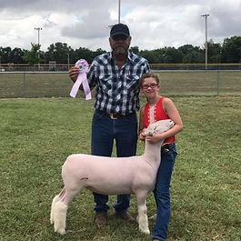 Res. Champion Crossbred Ewe
