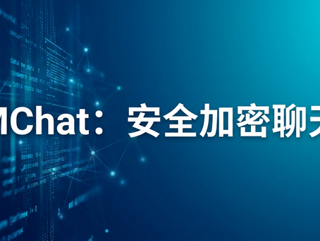平视视角下展示MChat的安全加密数据网图