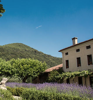 Tra Le vigne sfondo ig.jpg