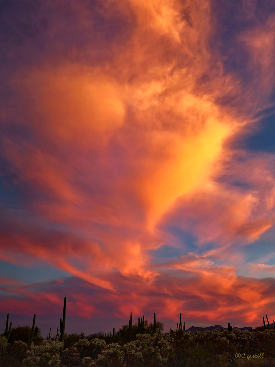 O1-20240130_182200-24x32x300-xxx-BigCloud-3-small