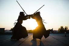 budo taijutsu