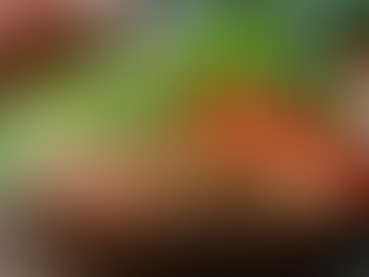 Discover Hormonal Balance Strategies for Women