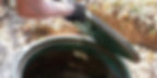 Septic Tank Inspection in Selma - C&C Septic Services