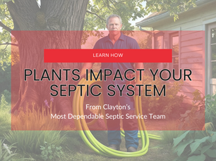 Learn How Plants Impact Your Septic System in Clayton NC with A+ Septic Tank Pumping
