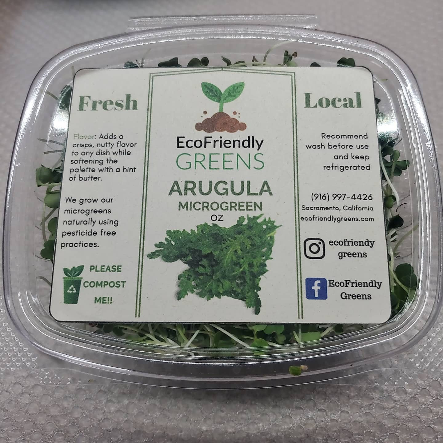 Arugula Microgreens Ecofriendlygreens Co