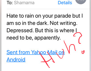"Hate to rain on your parade, but…”