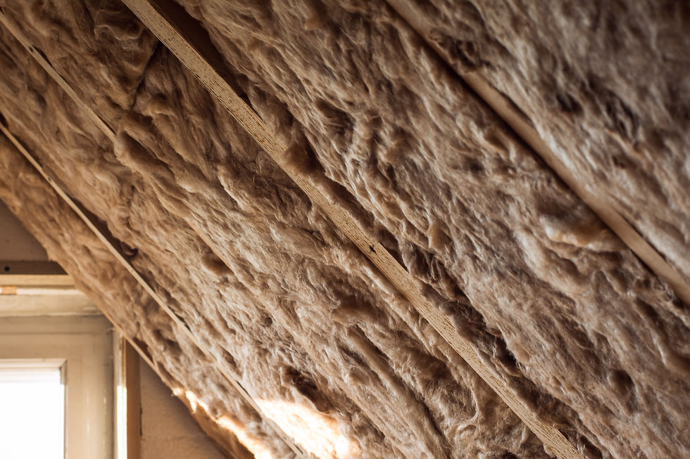 Luas Insulation Services: A Comprehensive Overview of Luas Insulation and Energy Consultants