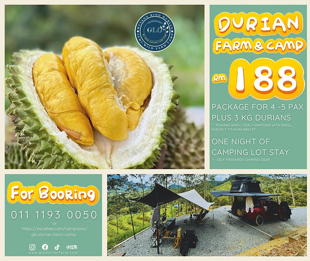 188 farm and camp package 2026.jpeg