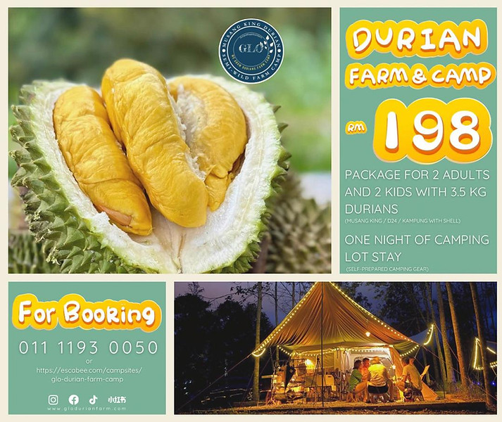 198 brochure july harvest.jpeg