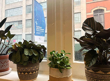 Therapist NY | Amy Calmann LCSW | Psychotherapy Office Flatiron Union Square Chelsea Manhattan New York