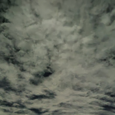 canzoni violenza domestica