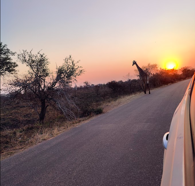 Le strade migliori nei dintorni di satara