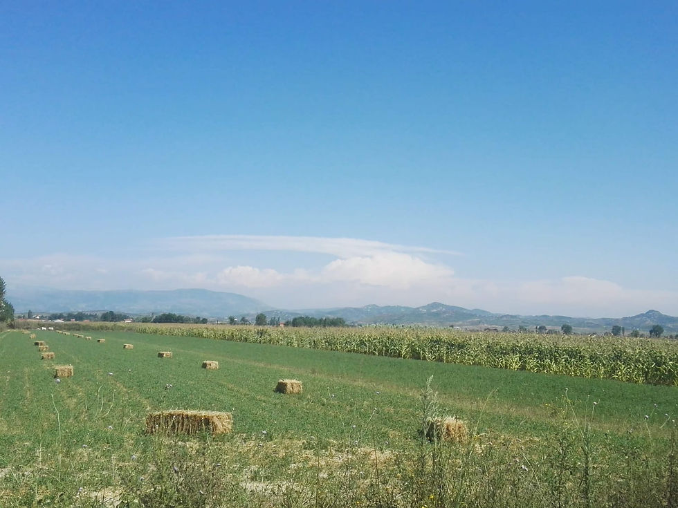 interno albania