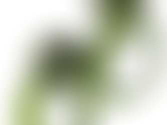 I 10 migliori tappi per orecchie per dormire a casa, in viaggio, in aereo: ecco i modelli più sicuri e performanti