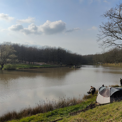Le 15 migliori canzoni di Lucio Battisti sulla vita: emozioni e riflessioni senza tempo