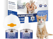 I 10 migliori diffusori di feromoni da usare come calmante per i gatti