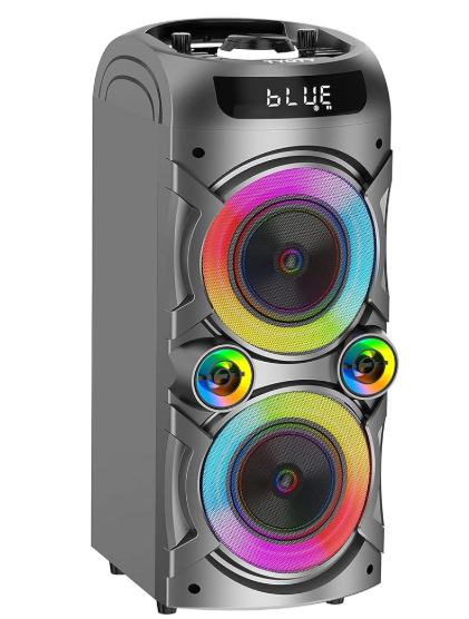 CASSA PORTATILE WIRELESS ALTA POTENZA