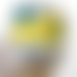 I 10 migliori palloni da beach volley per l'estate 2026