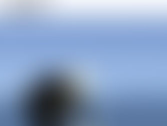 Ricorda: non sei straniero, sei solo povero. Se fossi ricco non saresti straniero in nessun luogo