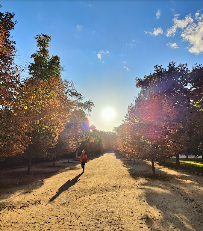 parco madrid