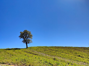 Le 10 migliori canzoni italiane sulla Terra per ricordarci la sua bellezza e la sua fragilità