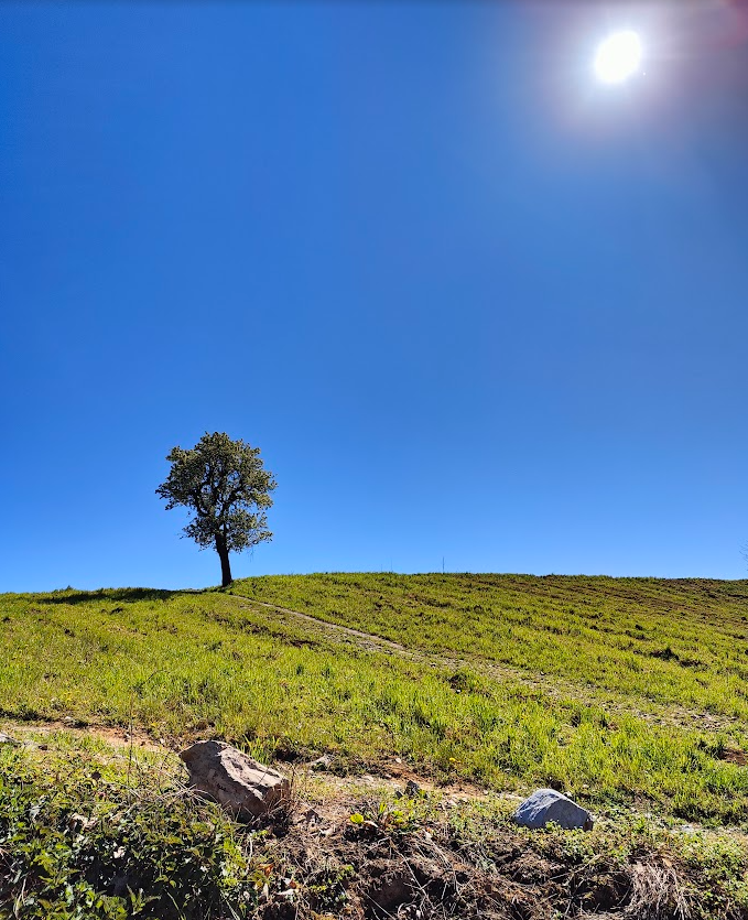 Le 10 migliori canzoni italiane sulla Terra per ricordarci la sua bellezza e la sua fragilità