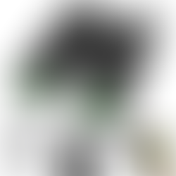 I 15 migliori binocoli per escursioni, birdwatching e safari