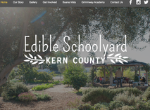 website design