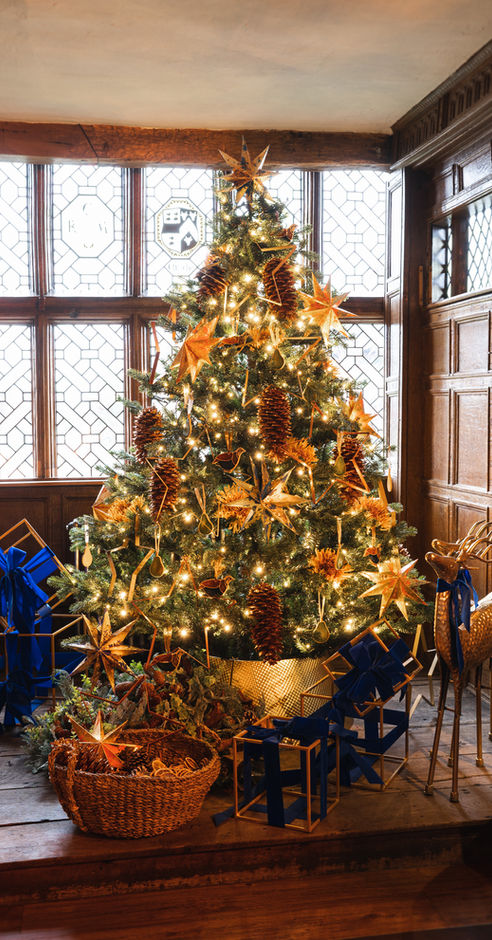 Partridge, star and pine cone Christmas tree, commercial & community installation at Churches Mansion